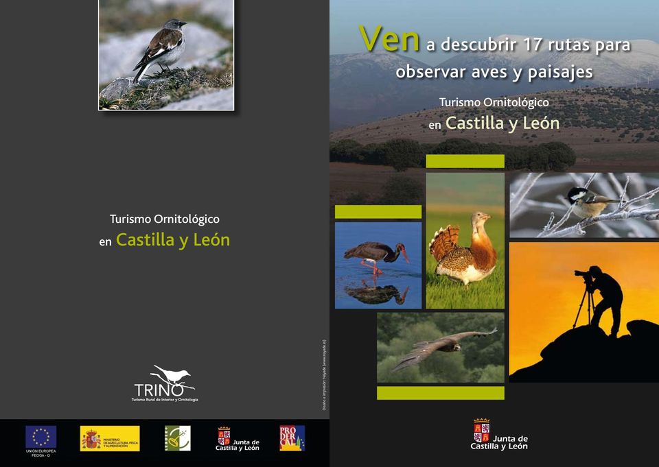 Turismo Ornitológico en Castilla y León Diseño e