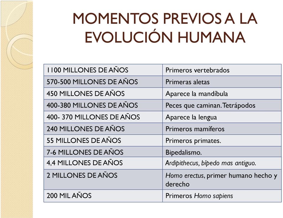 Tetrápodos 400-370 MILLONES DE AÑOS Aparece la lengua 240 MILLONES DE AÑOS Primeros mamíferos 55 MILLONES DE AÑOS Primeros primates.
