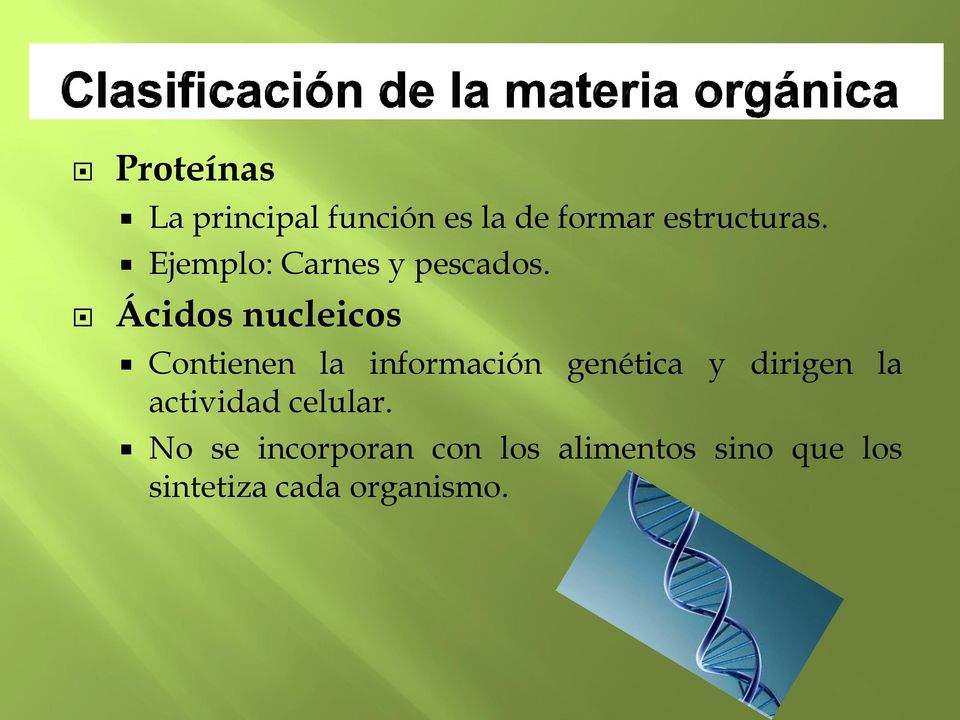 Ácidos nucleicos Contienen la información genética y dirigen