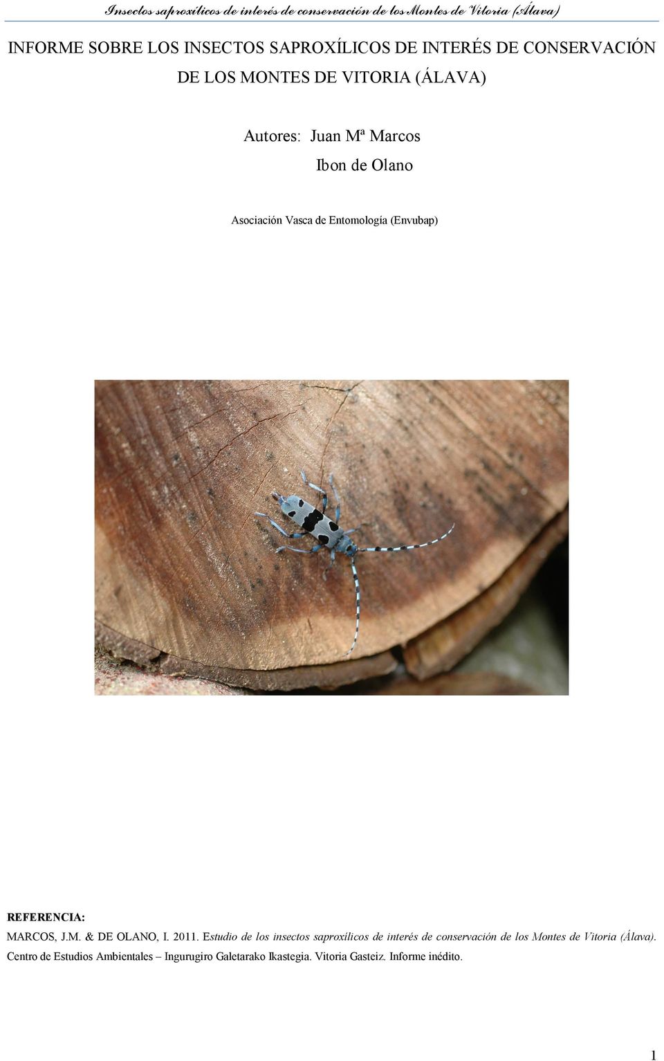 2011. Estudio de los insectos saproxílicos de interés de conservación de los Montes de Vitoria (Álava).