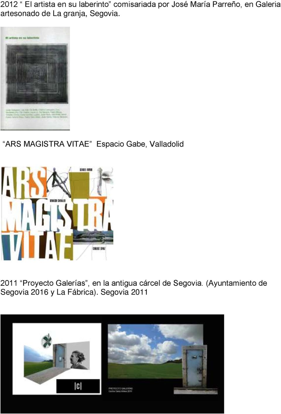 ARS MAGISTRA VITAE Espacio Gabe, Valladolid 2011 Proyecto Galerías,