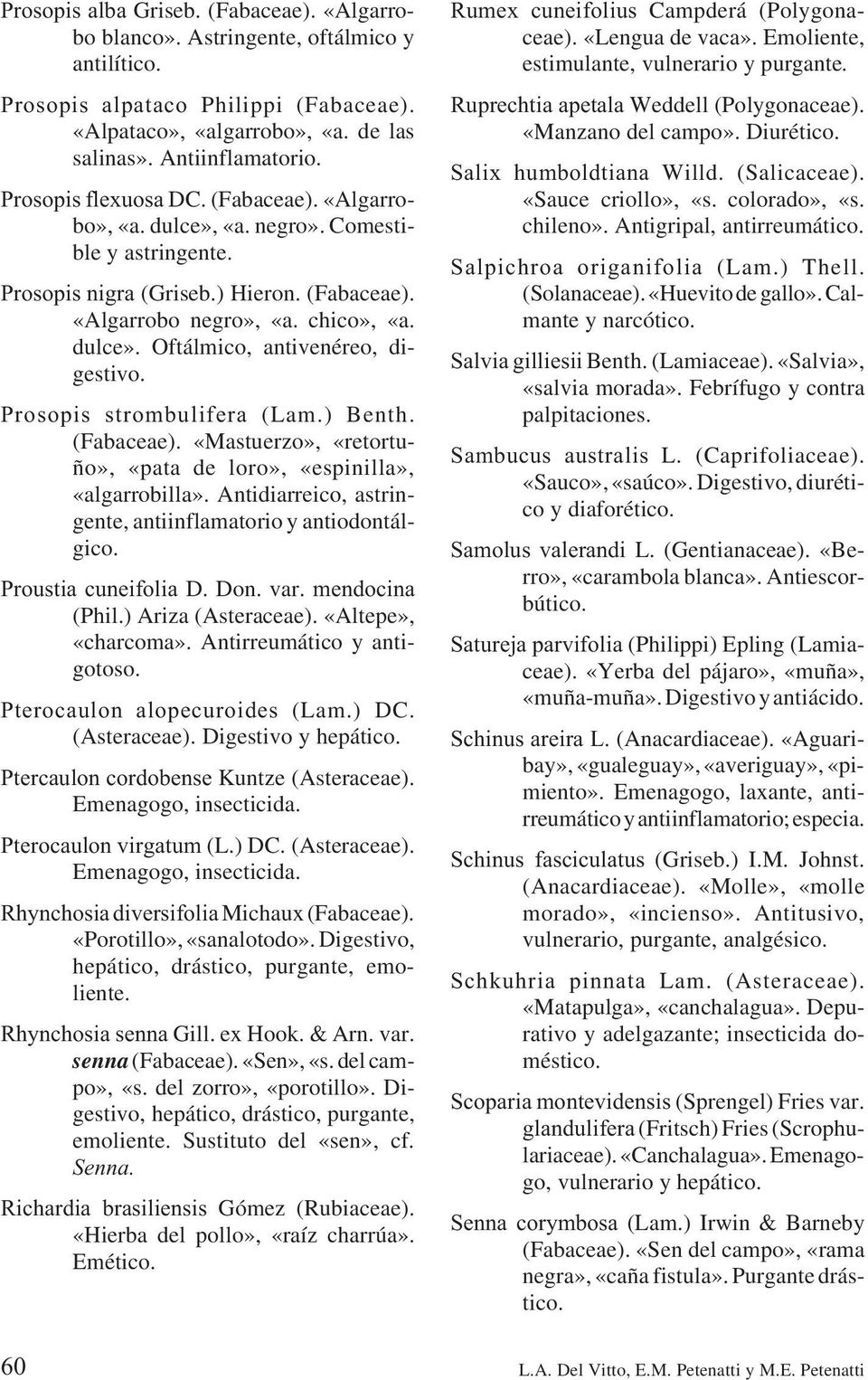 Prosopis strombulifera (Lam.) Benth. (Fabaceae). «Mastuerzo», «retortuño», «pata de loro», «espinilla», «algarrobilla». Antidiarreico, astringente, antiinflamatorio y antiodontálgico.