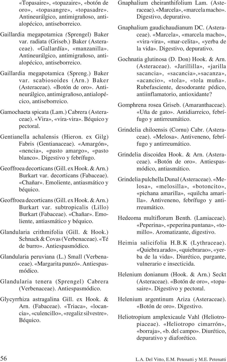Antineurálgico, antimigrañoso, antialopécico, antiseborreico. Gamochaeta spicata (Lam.) Cabrera (Asteraceae). «Vira», «vira-vira». Béquico y pectoral. Gentianella achalensis (Hieron.