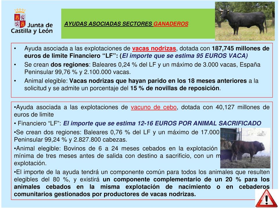 España Peninsular 99,76 % y 2.100.000 vacas. Animal elegible: Vacas nodrizas que hayan parido en los 18 meses anteriores a la solicitud y se admite un porcentaje del 15 % de novillas de reposición.