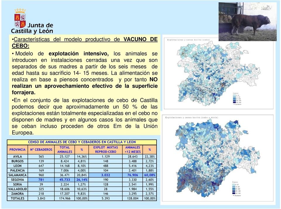 En el conjunto de las explotaciones de cebo de Castilla podemos decir que aproximadamente un 50 % de las explotaciones están totalmente especializadas en el cebo no disponen de madres y en algunos