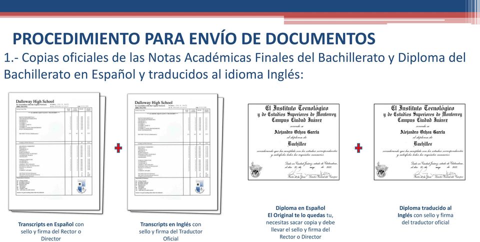 idioma Inglés: Transcripts en Español con sello y firma del Rector o Director Transcripts en Inglés con sello y firma del