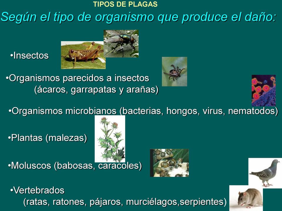 microbianos (bacterias, hongos, virus, nematodos) Plantas (malezas) Moluscos