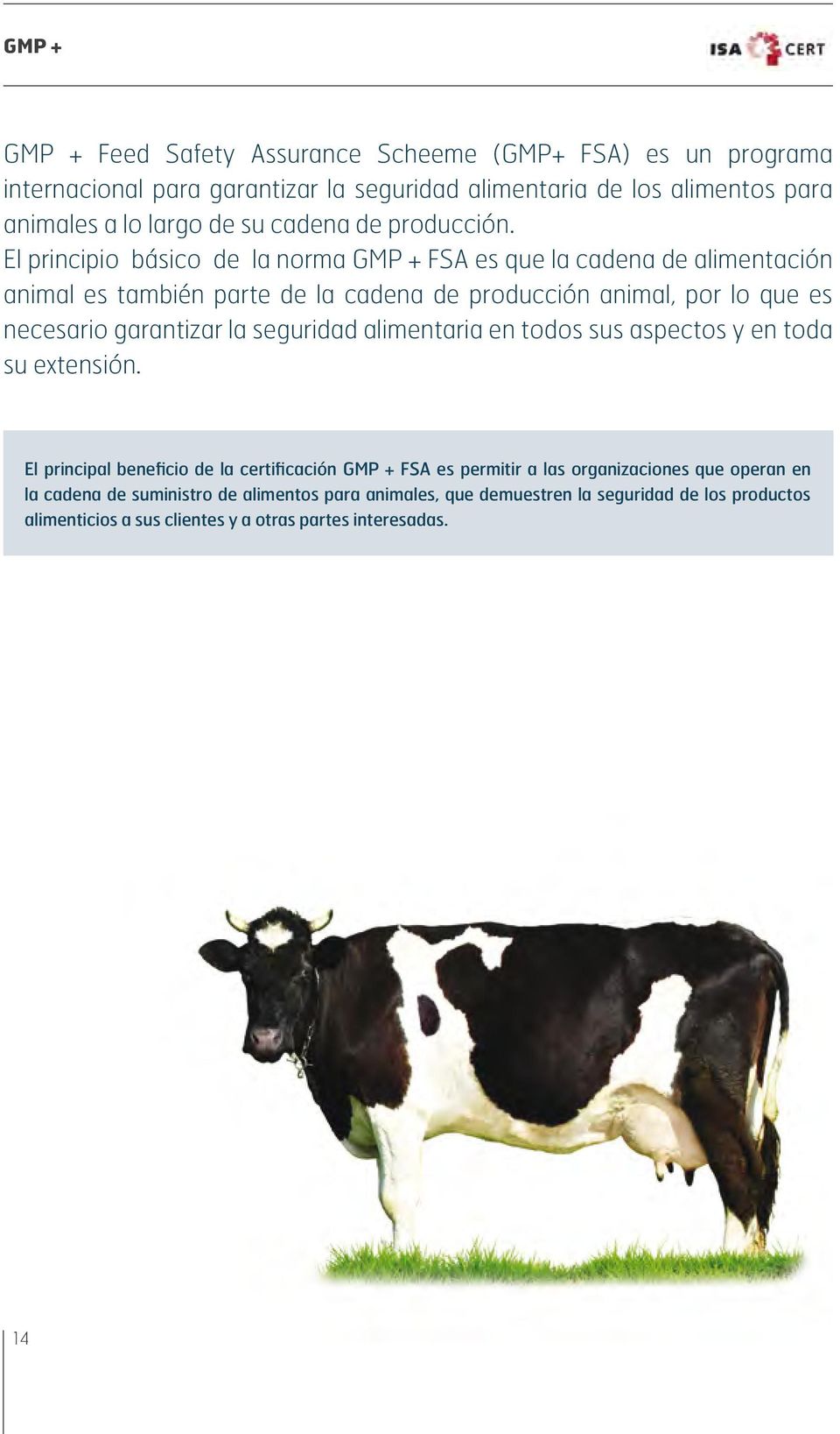 El principio básico de la norma GMP + FSA es que la cadena de alimentación animal es también parte de la cadena de producción animal, por lo que es necesario garantizar la