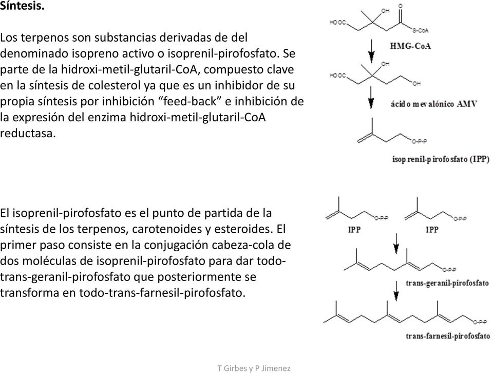 inhibición de la expresión del enzima hidroxi metil glutaril CoA reductasa.