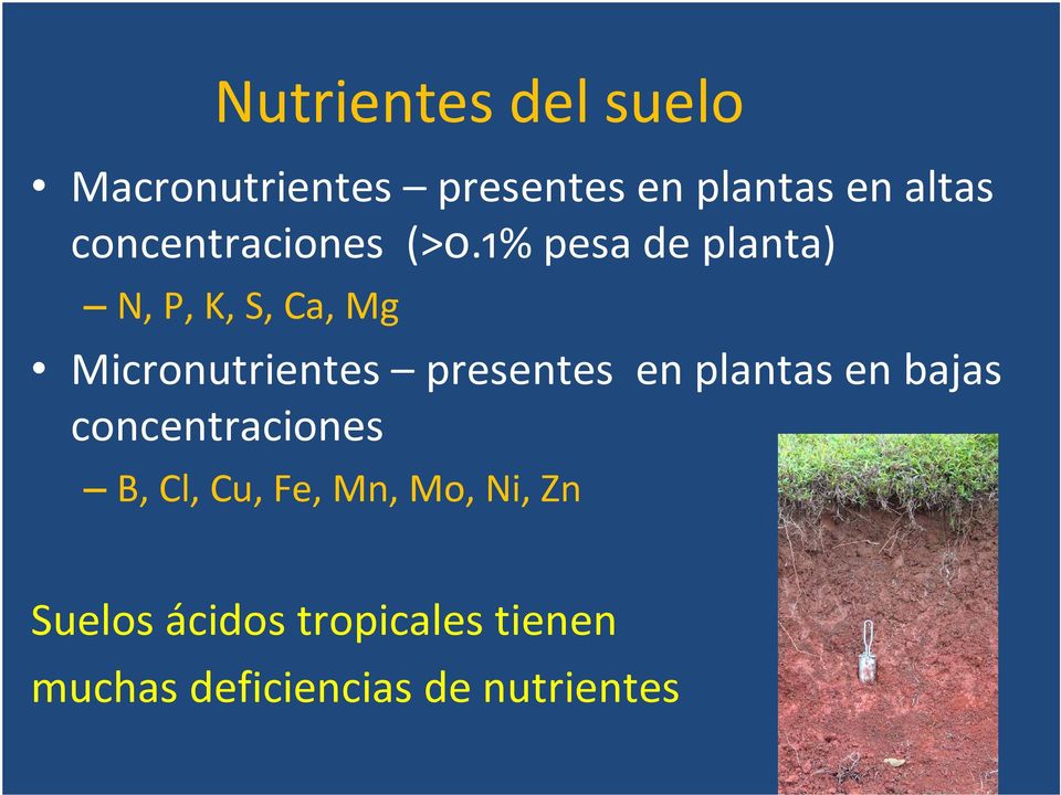 1% pesa de planta) N, P, K, S, Ca, Mg Micronutrientes presentes en