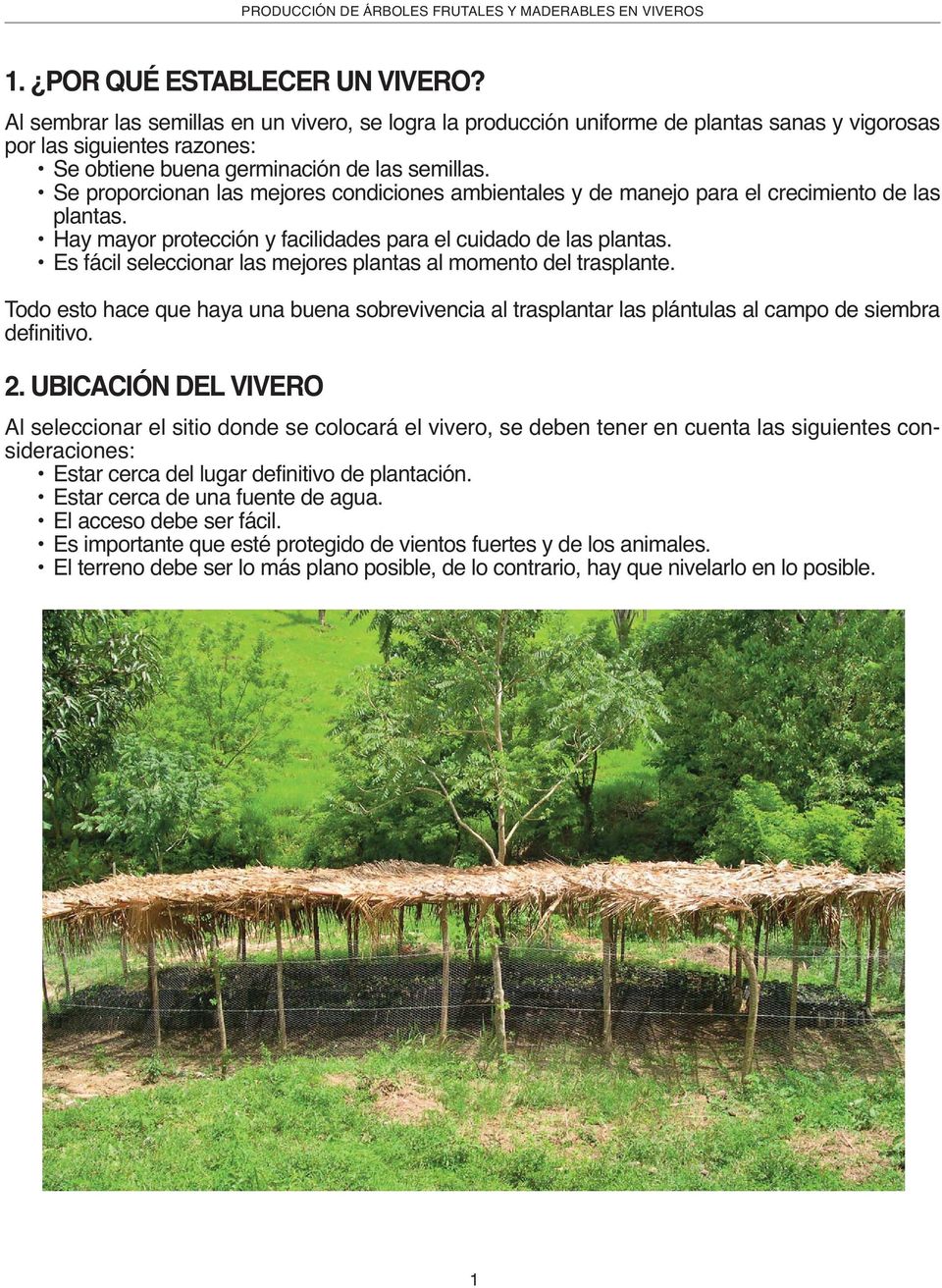 PRODUCCIÓN DE ÁRBOLES FRUTALES Y MADERABLES EN VIVEROS - PDF Free Download