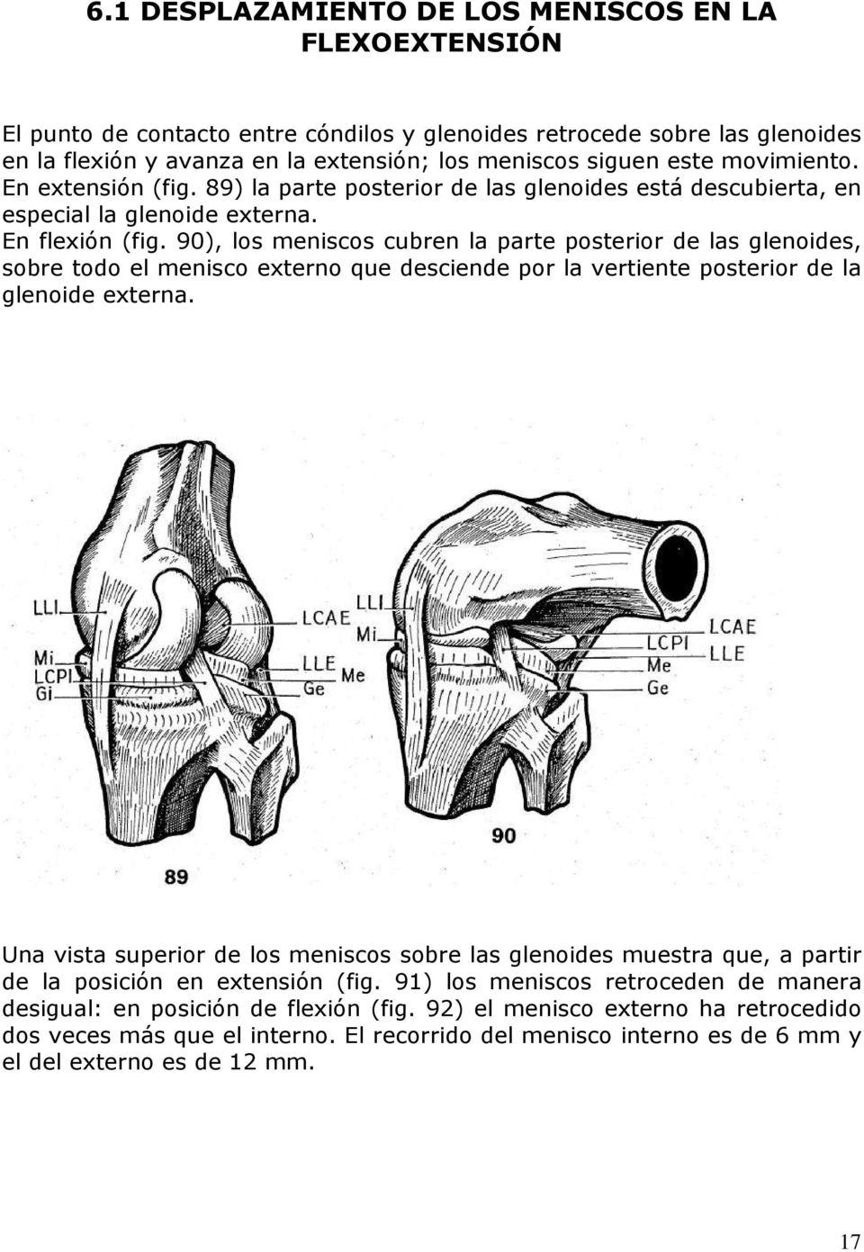 90), los meniscos cubren la parte posterior de las glenoides, sobre todo el menisco externo que desciende por la vertiente posterior de la glenoide externa.