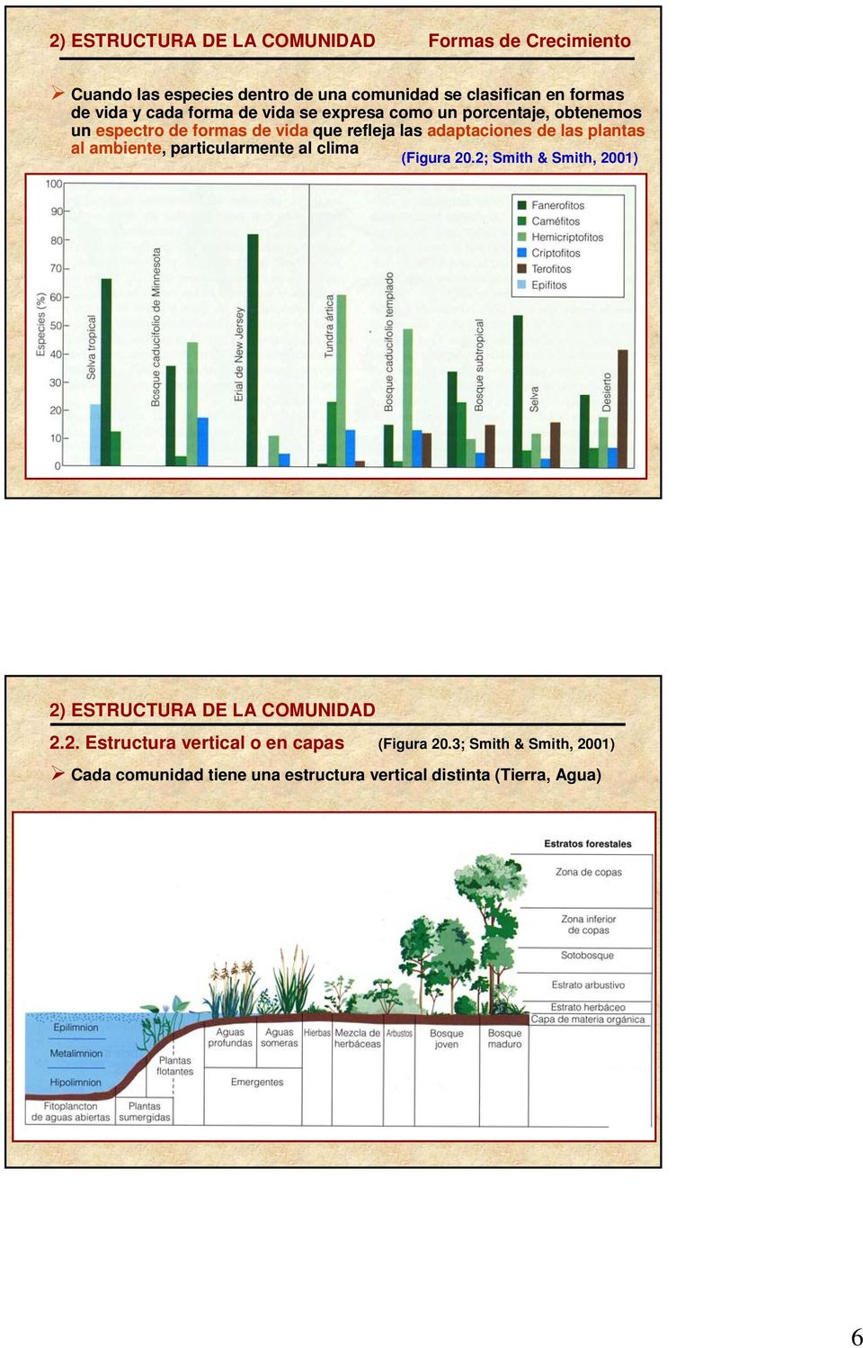 de las plantas al ambiente, particularmente al clima (Figura 20.2; Smith & Smith, 2001) 2) ESTRUCTURA DE LA COMUNIDAD 2.2. Estructura vertical o en capas (Figura 20.