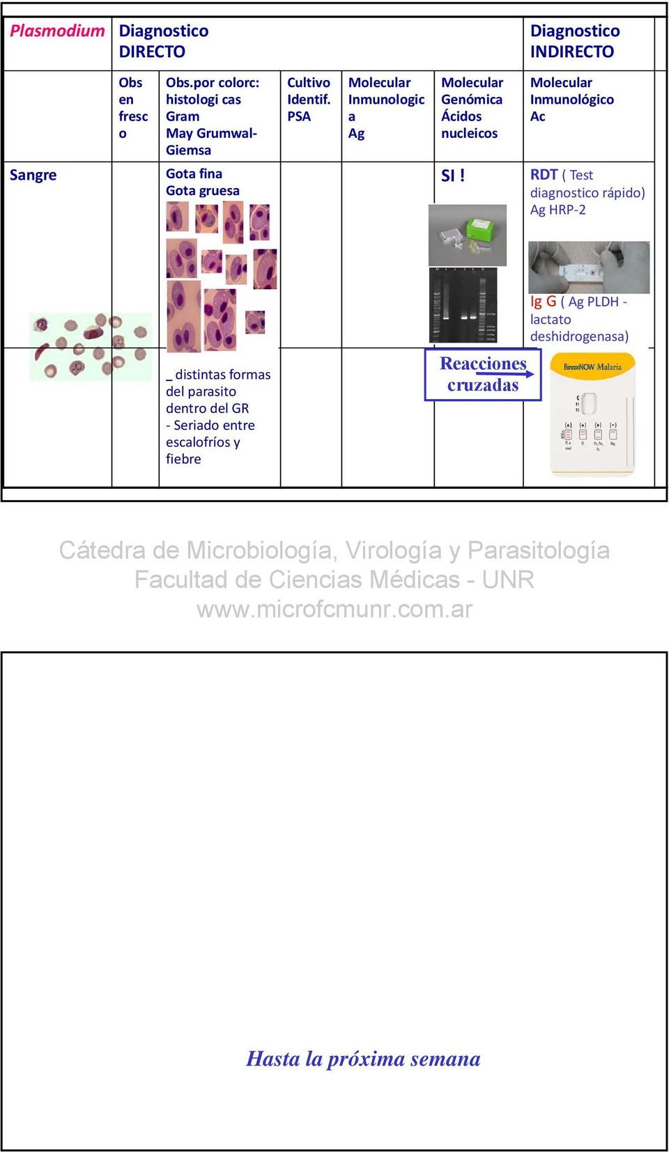 PSA Inmunologic a Ag Genómica Ácidos nucleicos SI!