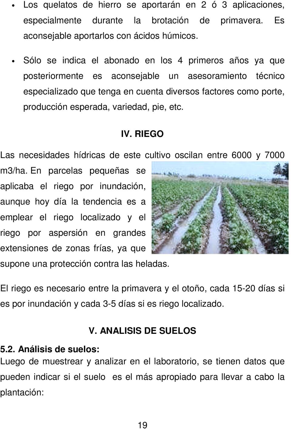 variedad, pie, etc. IV. RIEGO Las necesidades hídricas de este cultivo oscilan entre 6000 y 7000 m3/ha.