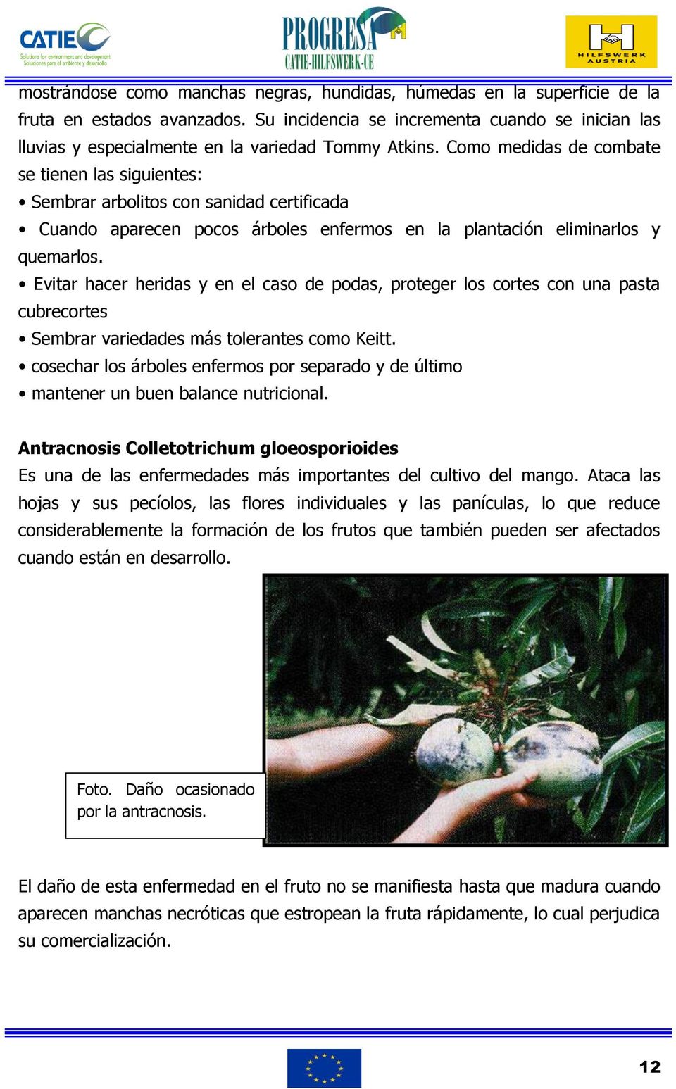 Como medidas de combate se tienen las siguientes: Sembrar arbolitos con sanidad certificada Cuando aparecen pocos árboles enfermos en la plantación eliminarlos y quemarlos.