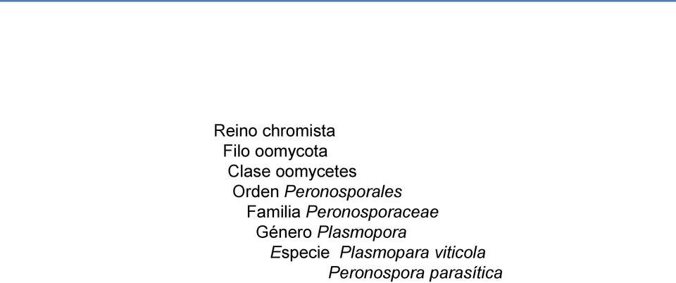Peronosporaceae Género Plasmopora
