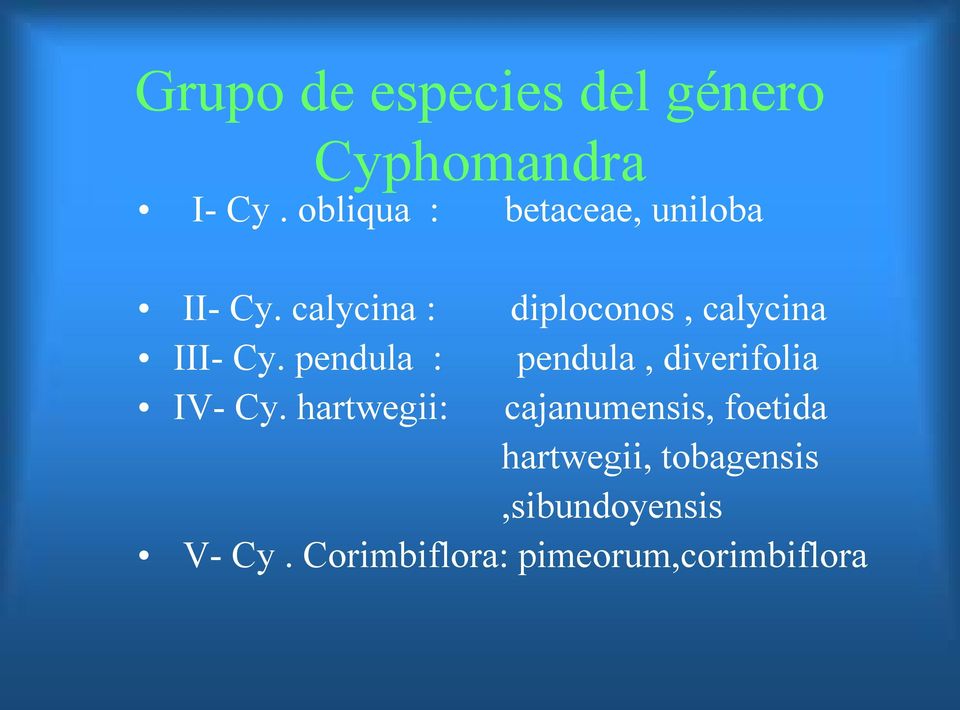 calycina : diploconos, calycina III Cy.