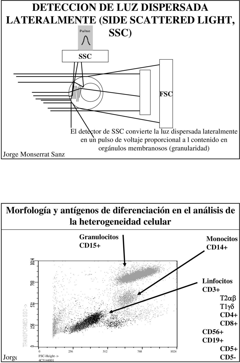 (granularidad) Morfología y antígenos de diferenciación en el análisis de la heterogeneidad celular