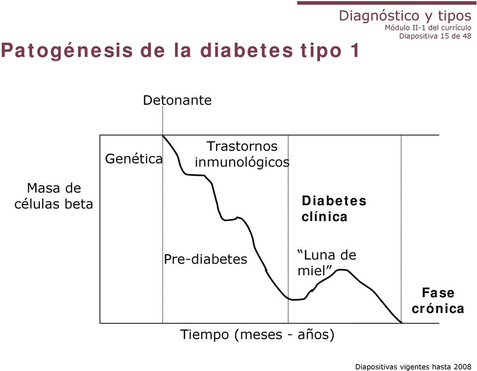Masa de células beta Diabetes clínica