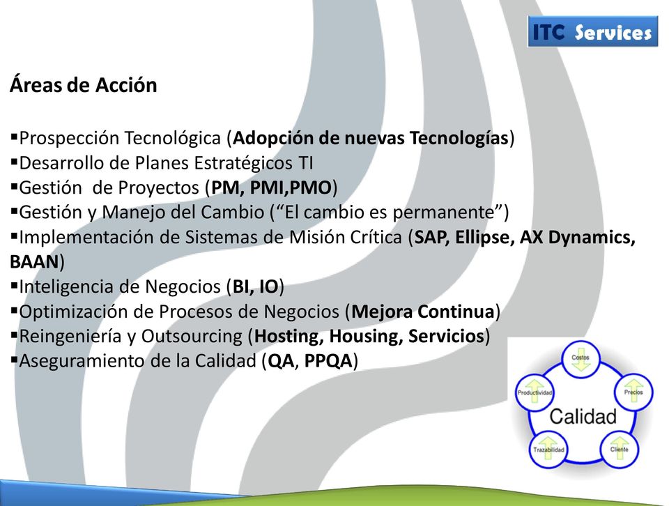 Sistemas de Misión Crítica (SAP, Ellipse, AX Dynamics, BAAN) Inteligencia de Negocios (BI, IO) Optimización de
