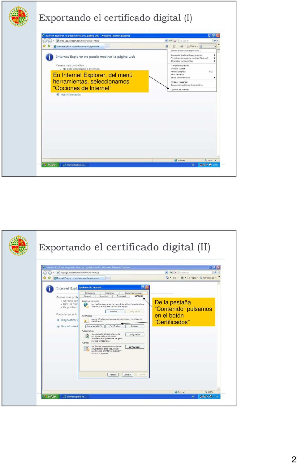 Opciones de Internet Exportando el certificado