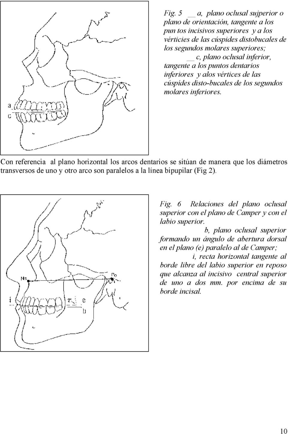 Con referencia al plano horizontal los arcos dentarios se sitúan de manera que los diámetros transversos de uno y otro arco son paralelos a la línea bipupilar (Fig 2). Fig.