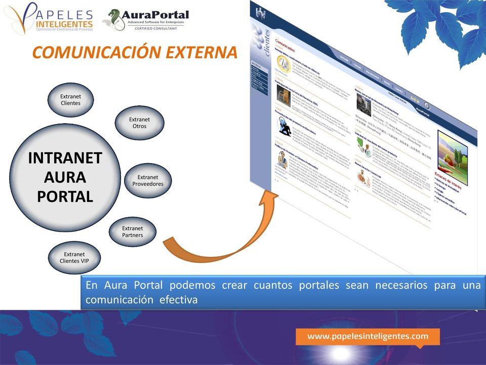 Partners Extranet Clientes VIP En Aura Portal podemos