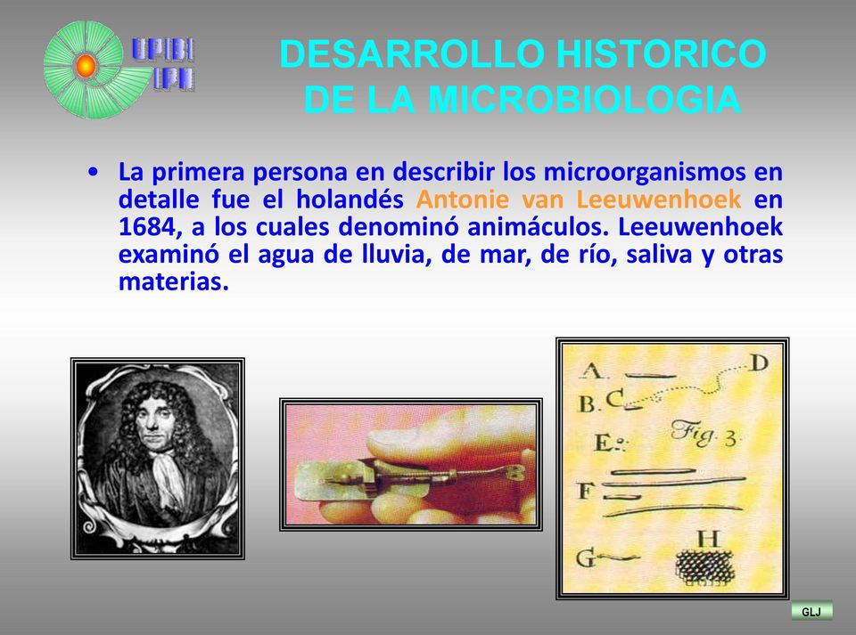 van Leeuwenhoek en 1684, a los cuales denominó animáculos.
