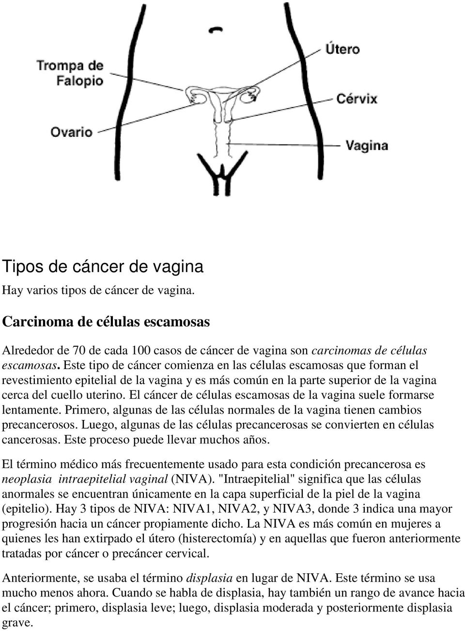 El cáncer de células escamosas de la vagina suele formarse lentamente. Primero, algunas de las células normales de la vagina tienen cambios precancerosos.