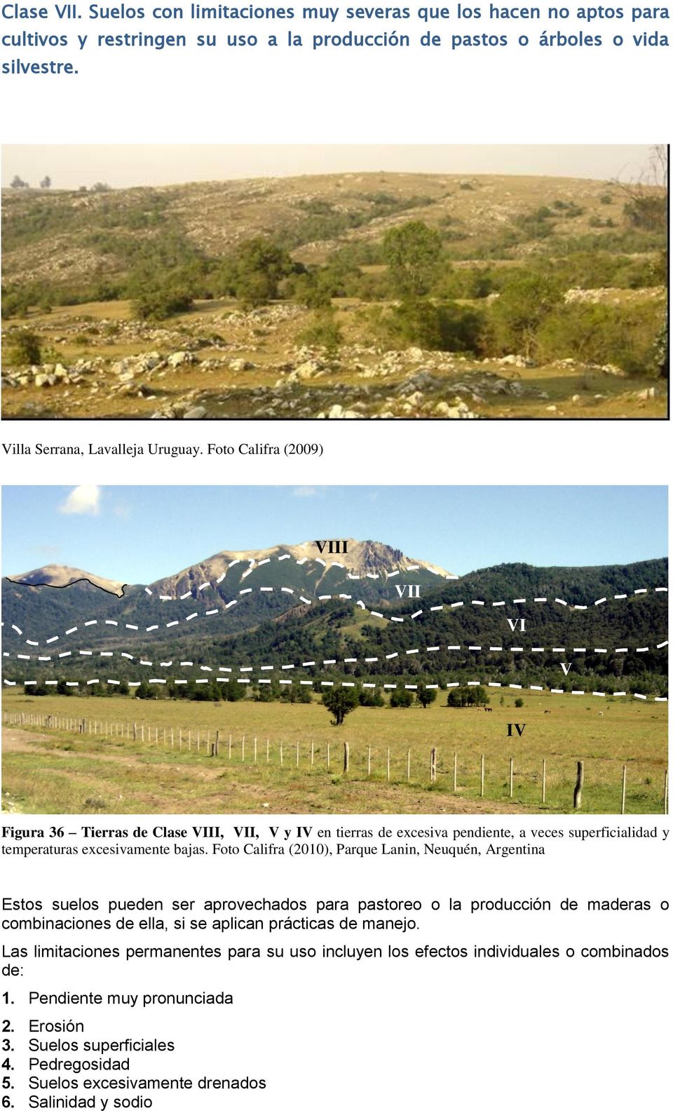 Foto Califra (2010), Parque Lanin, Neuquén, Argentina Estos suelos pueden ser aprovechados para pastoreo o la producción de maderas o combinaciones de ella, si se aplican prácticas de manejo.