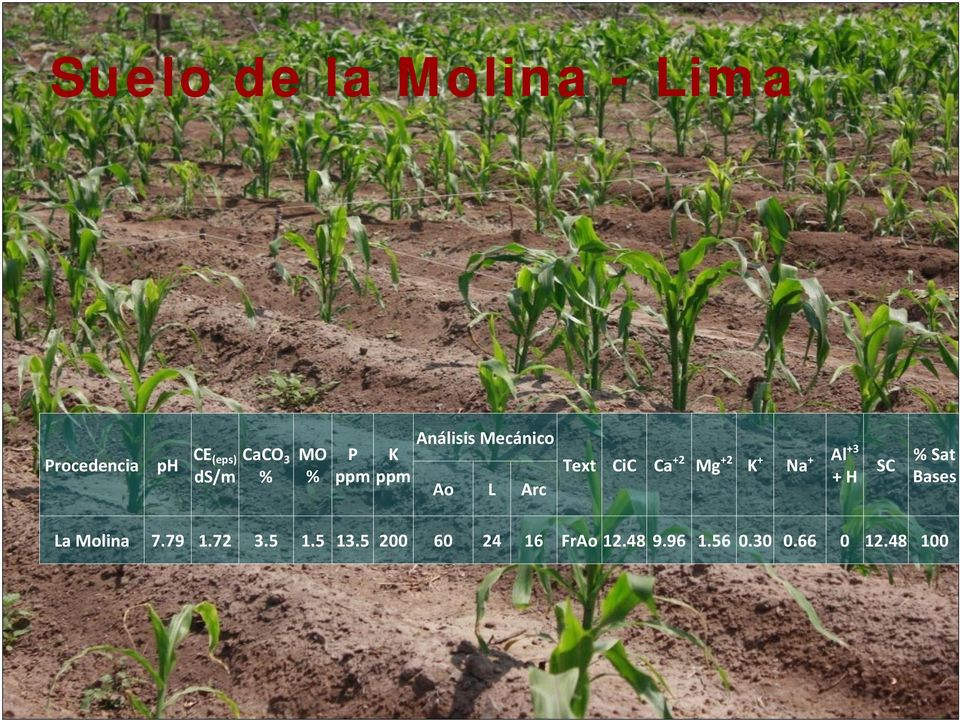 Mg +2 K + Na + Al +3 + H SC % Sat Bases La Molina 7.79 1.72 3.
