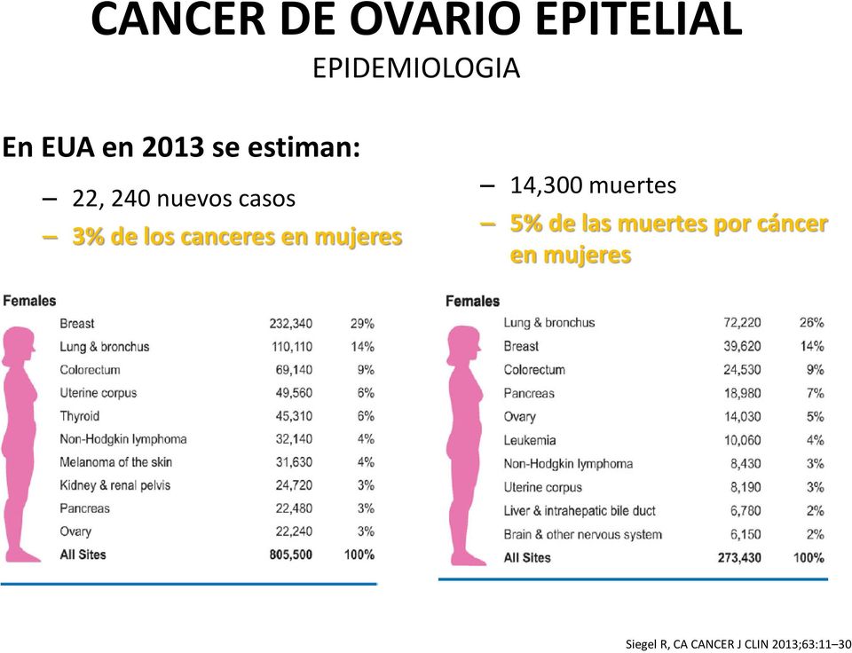 canceres en mujeres 14,300 muertes 5% de las muertes