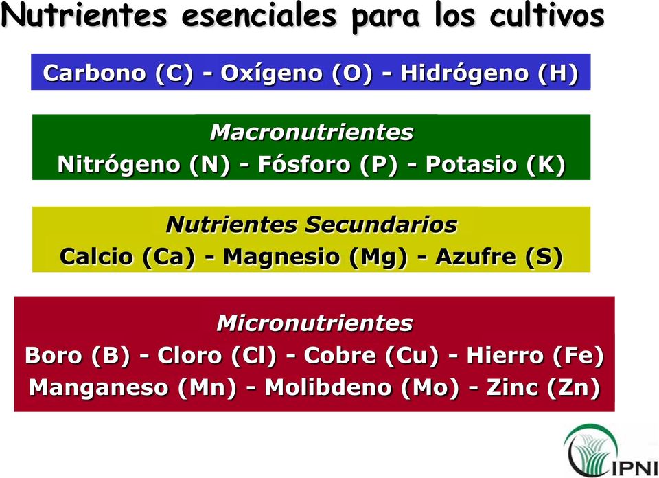 Secundarios Calcio (Ca) - Magnesio (Mg) - Azufre (S) Micronutrientes Boro (B)