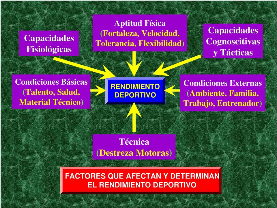 Material Técnico) RENDIMIENTO DEPORTIVO Condiciones Externas (Ambiente, Familia,
