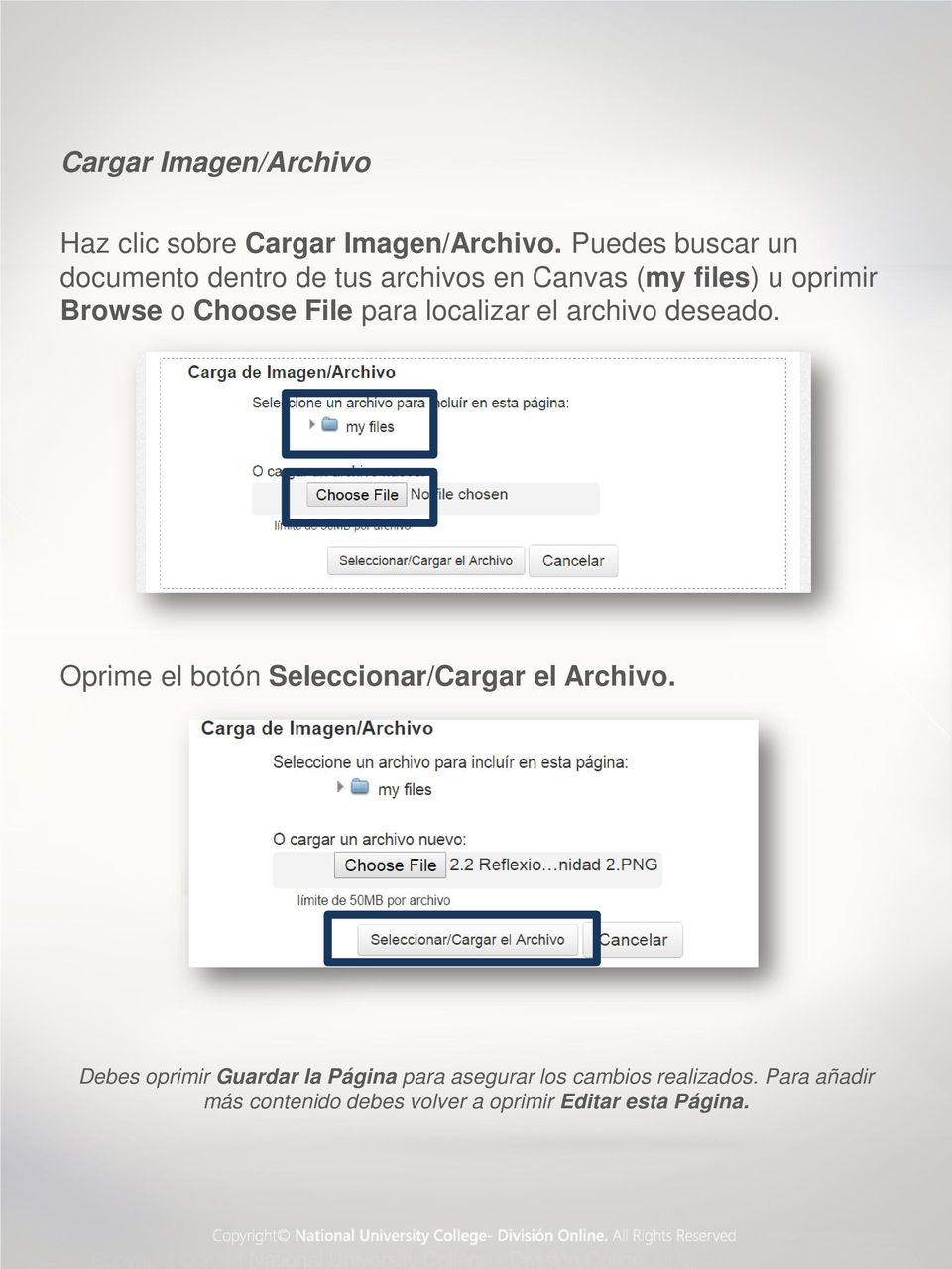Choose File para localizar el archivo deseado. Oprime el botón Seleccionar/Cargar el Archivo.