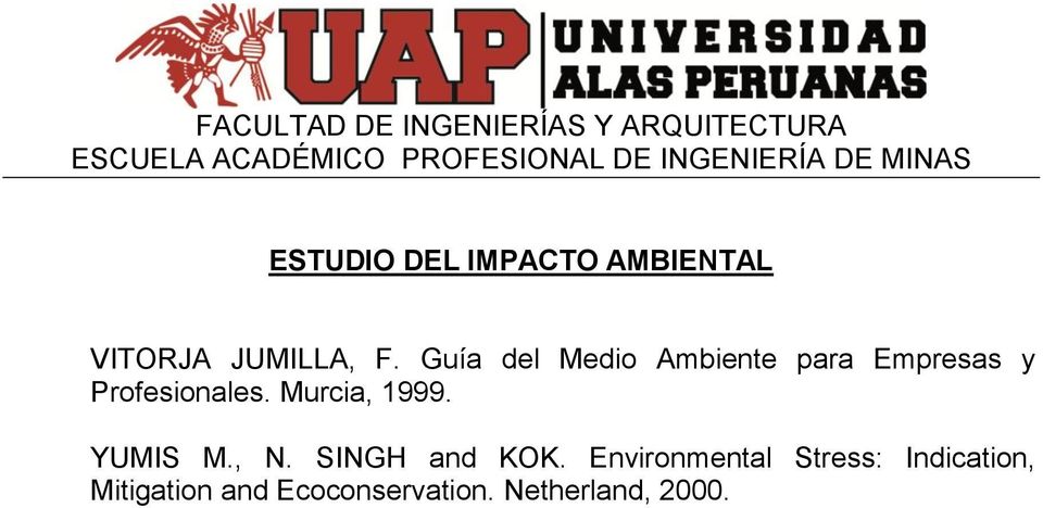 Profesionales. Murcia, 1999. YUMIS M., N.