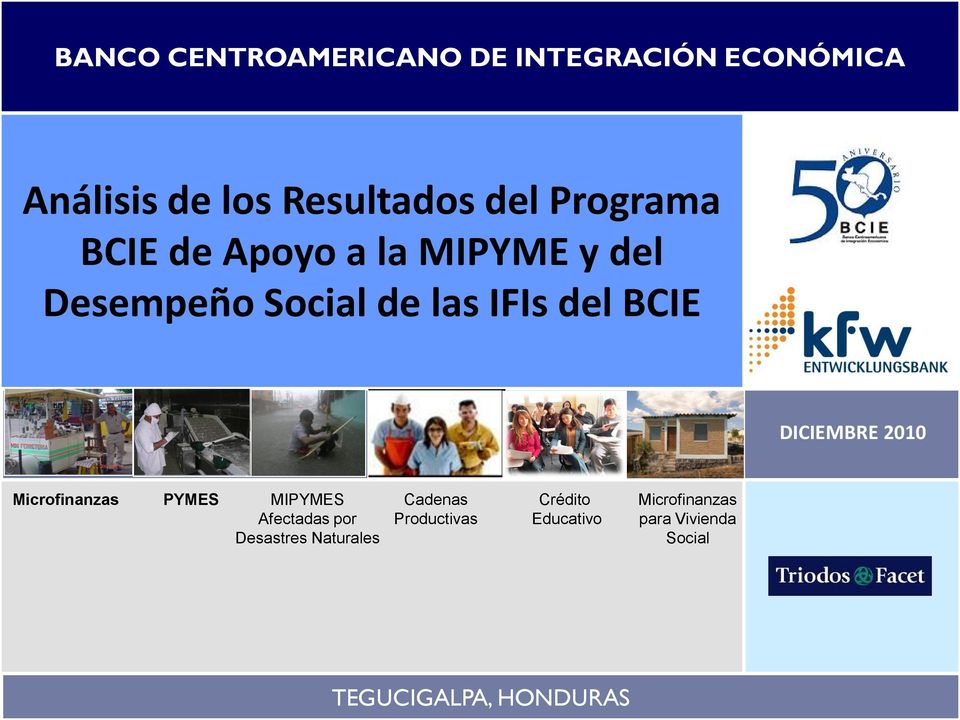 DICIEMBRE 2010 Microfinanzas PYMES MIPYMES Cadenas Afectadas por Productivas