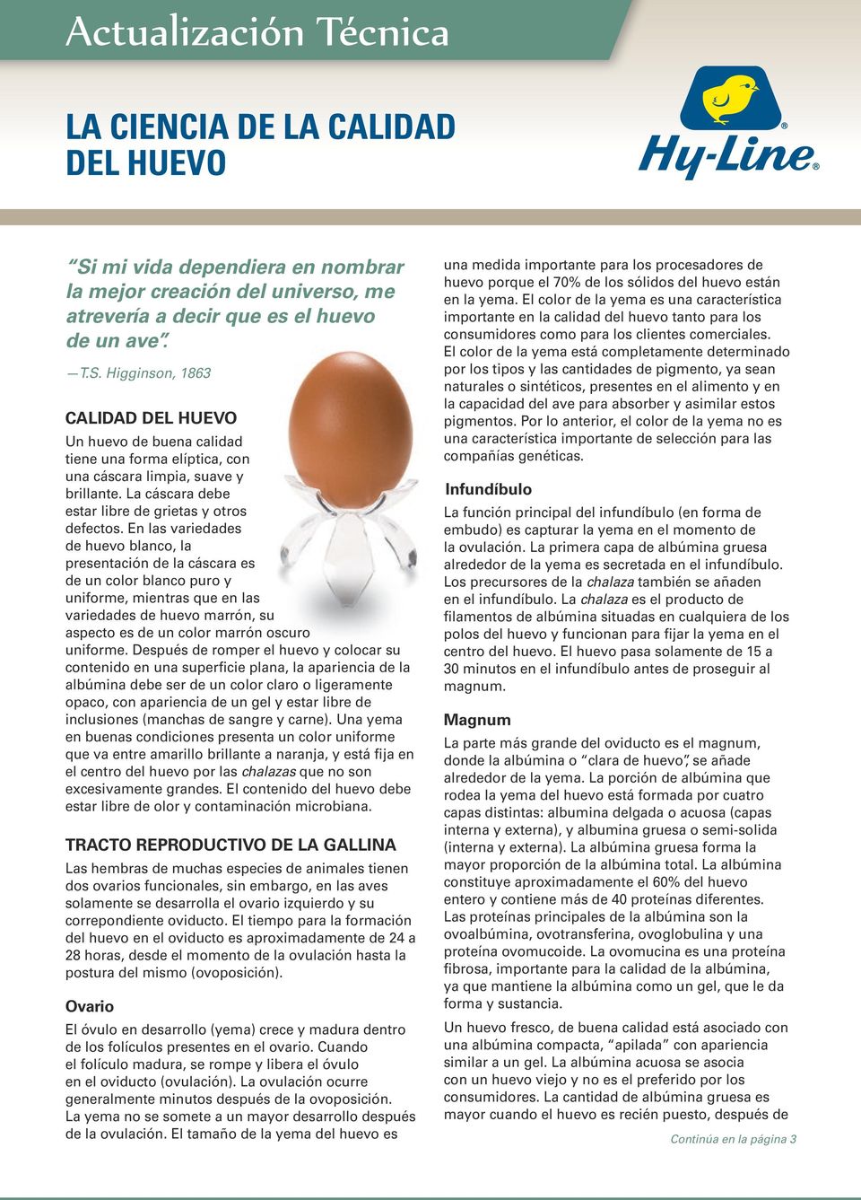 En las variedades de huevo blanco, la presentación de la cáscara es de un color blanco puro y uniforme, mientras que en las variedades de huevo marrón, su aspecto es de un color marrón oscuro