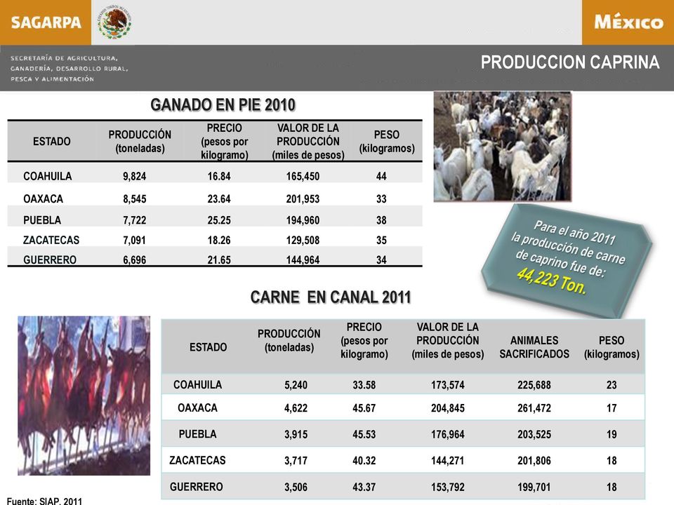 65 144,964 34 CARNE EN CANAL 2011 ESTADO PRODUCCIÓN (toneladas) PRECIO (pesos por kilogramo) VALOR DE LA PRODUCCIÓN (miles de pesos) ANIMALES SACRIFICADOS PESO