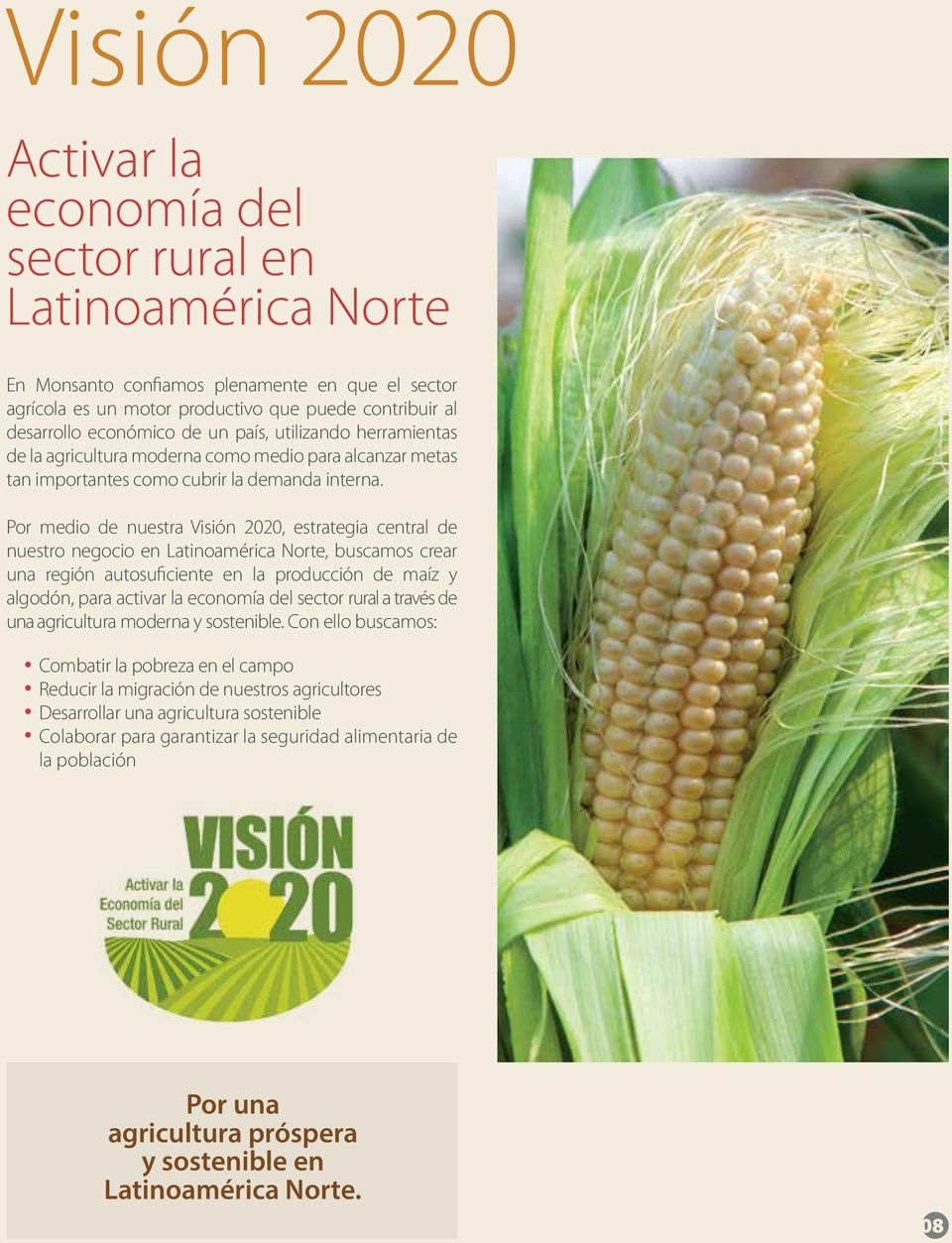 Por medio de nuestra Visión 2020, estrategia central de nuestro negocio en Latinoamérica Norte, buscamos crear una región autosuficiente en la producción de maíz y algodón, para activar la economía