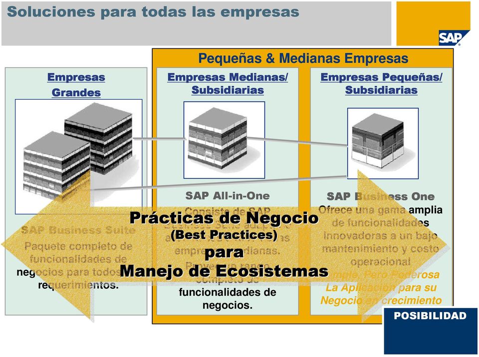 SAP All-in-One Consiste de SAP Business Suite adaptado a (Best las (Best necesidades Practices) de las empresas medianas.