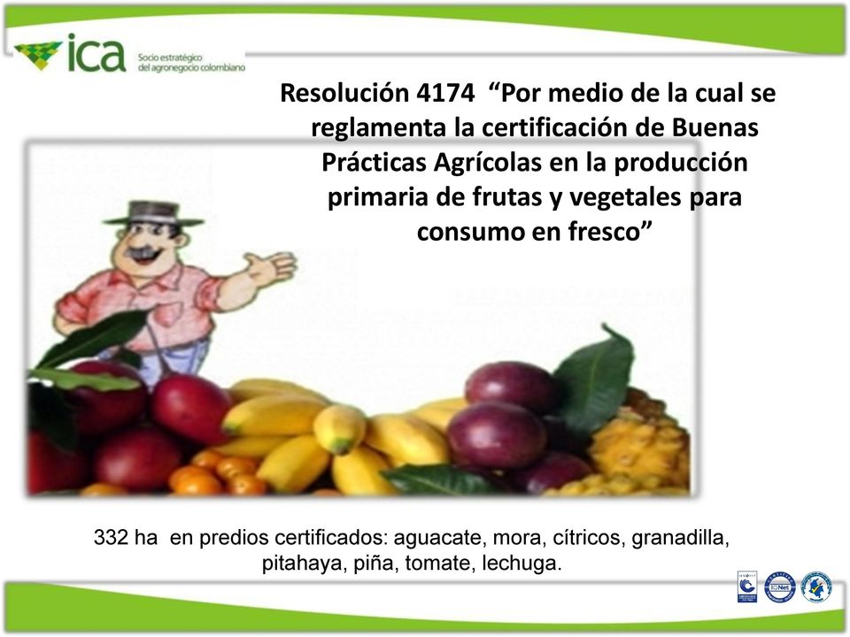 vegetales para consumo en fresco 332 ha en predios certificados: