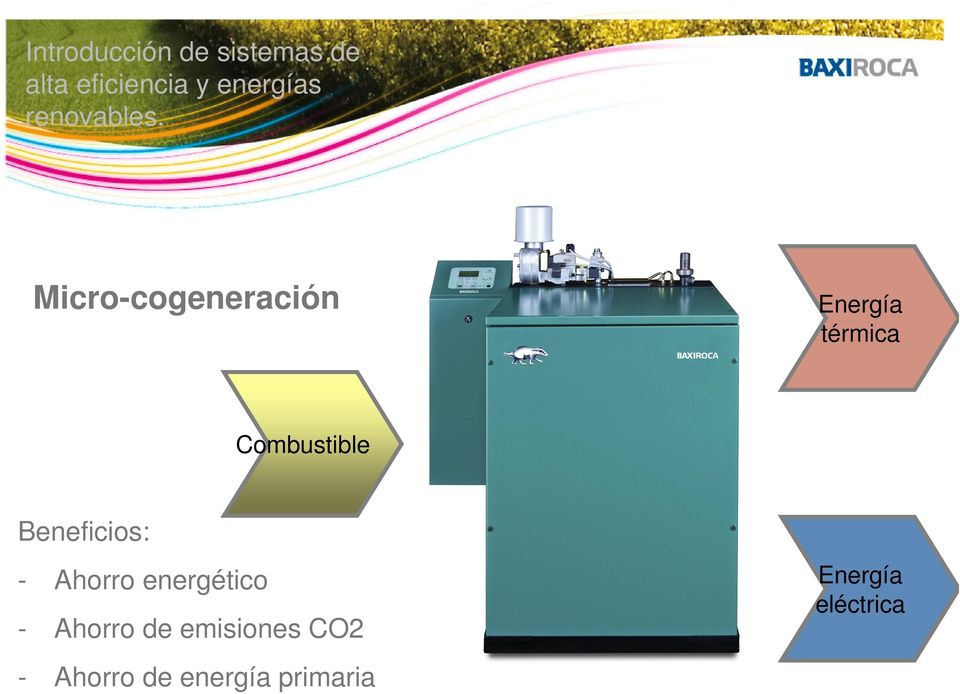 Micro-cogeneración Energía térmica Combustible