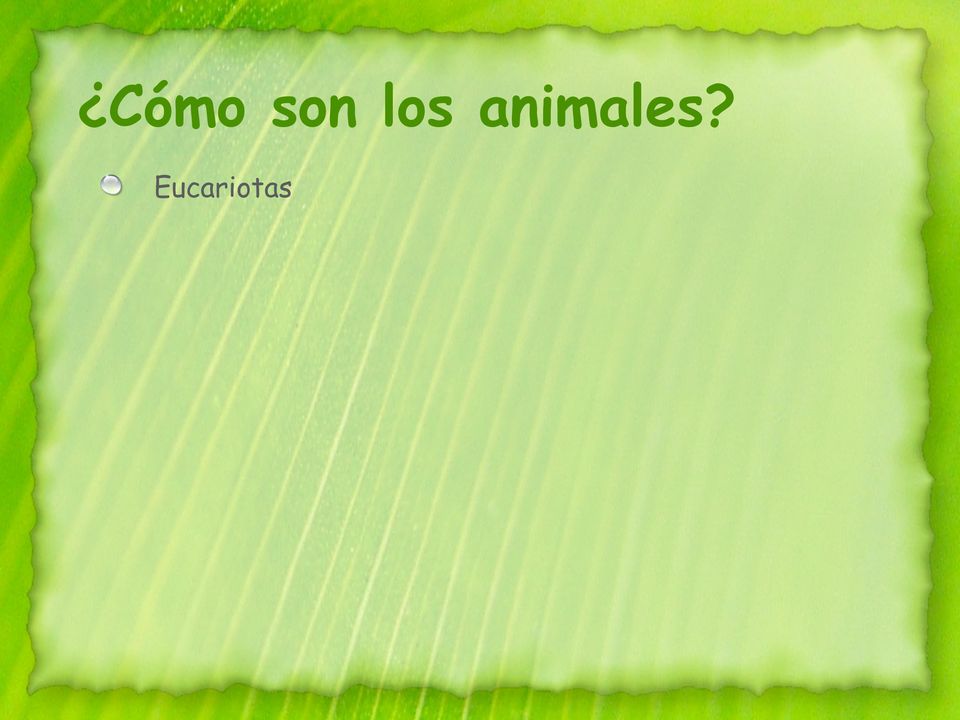 animales?