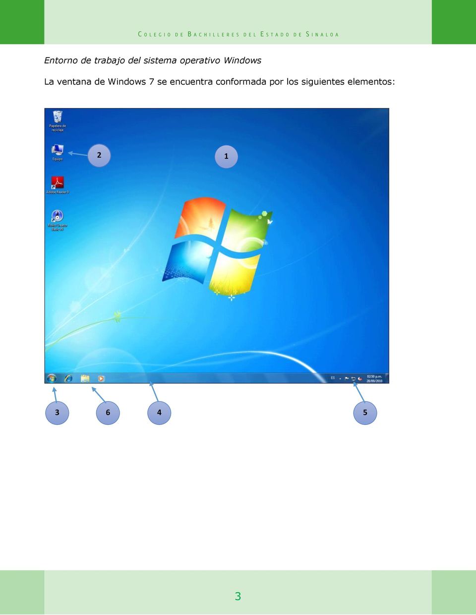 Windows 7 se encuentra conformada