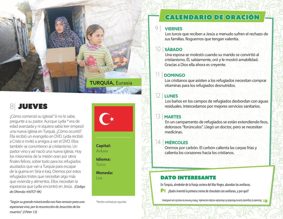 11 DOMINGO TURQUÍA, Eurasia Los cristianos que asisten a los refugiados necesitan comprar vitaminas para los refugiados desnutridos.