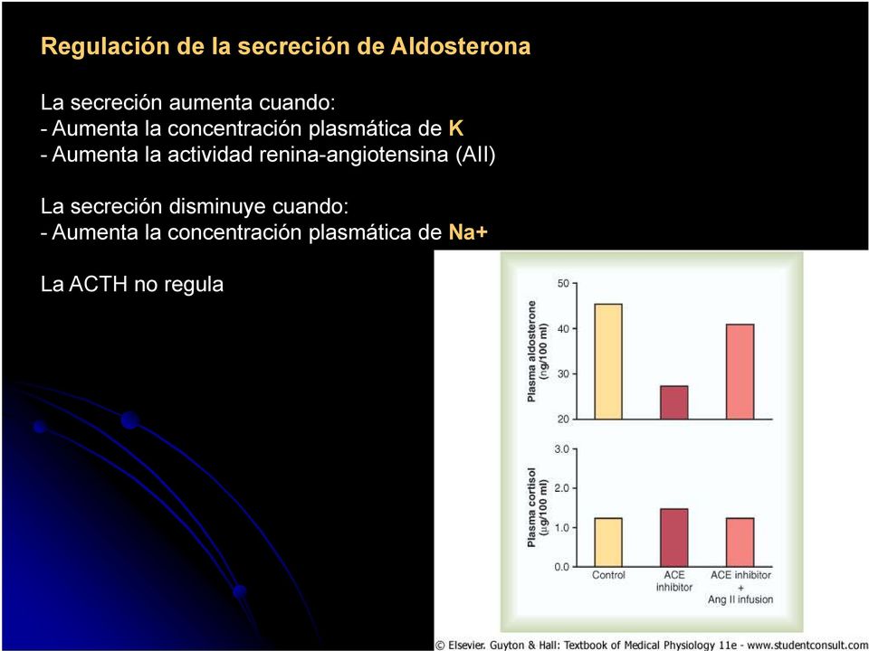 actividad renina-angiotensina (AII) La secreción disminuye