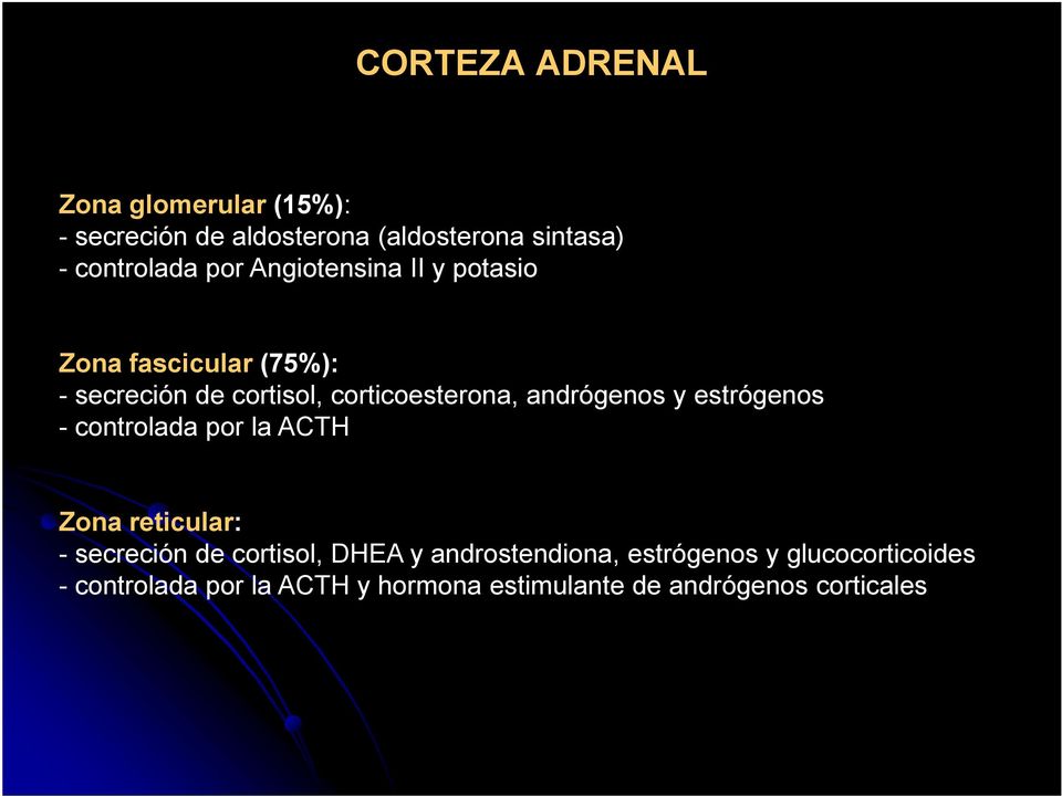 andrógenos y estrógenos - controlada por la ACTH Zona reticular: - secreción de cortisol, DHEA y