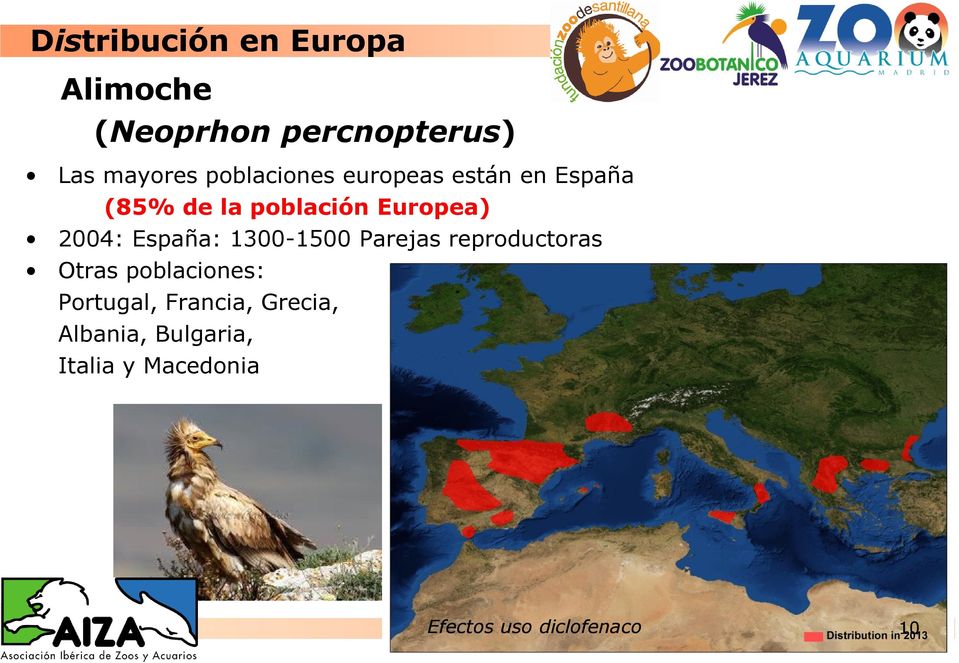 España: 1300-1500 Parejas reproductoras Otras poblaciones: Portugal,